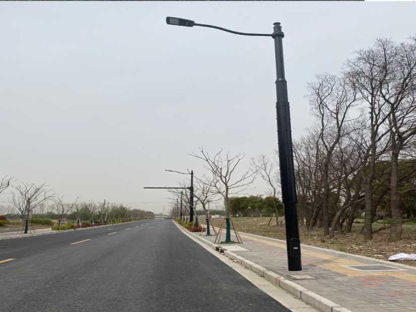 蒲江县上海综合杆 太阳能路灯工程